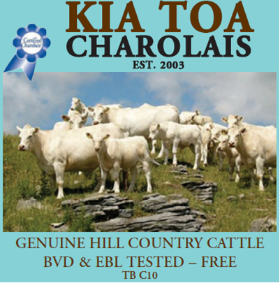 Kia toa.png